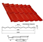 Заборы из профнастила,  крыша из металлочерепицы. Европейское качество. Киев-Черкассы.