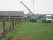 продам фермы под разборку
