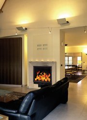 Чугунная каминнаятопка Professional Max (дверца Image) Тарнава 