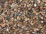 Продажа грунта, чернозема, песка, щебня, гравий