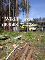 расчистка участков Киев, корчевание пней Киев.