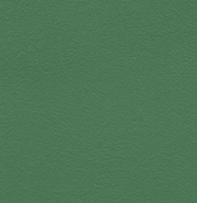  Спортивный  линолеум Graboflex Start