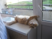 Срочный ремонт дверей Киев, ремонт металлопластиковых и алюминиевых