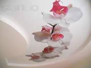 Фотопечать на натяжных потолках!