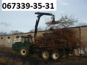 Спил деревьев, спилить дерево, корчевание пней 0673393531