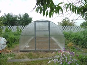 Теплицы из поликарбоната и пленки Николаев