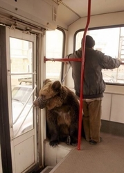 Ремонт окон Киев, регулировка дверей, диагностика и срочный ремонт