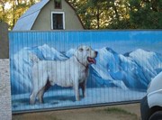 Профнастил и Металлочерепица цена в Киеве от производителя.