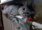 Установка отопления и.т.д услуги сварщика.Цены на работу старые.