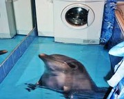 Полимерные наливные полы,  3д пол,  промышленный пол