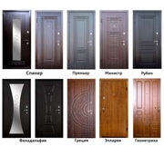 двери входные за один день