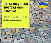 Тротуарна плитка та бруківка від виробника