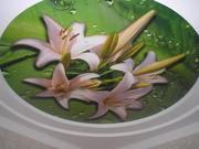 Натяжные потолки производства франции